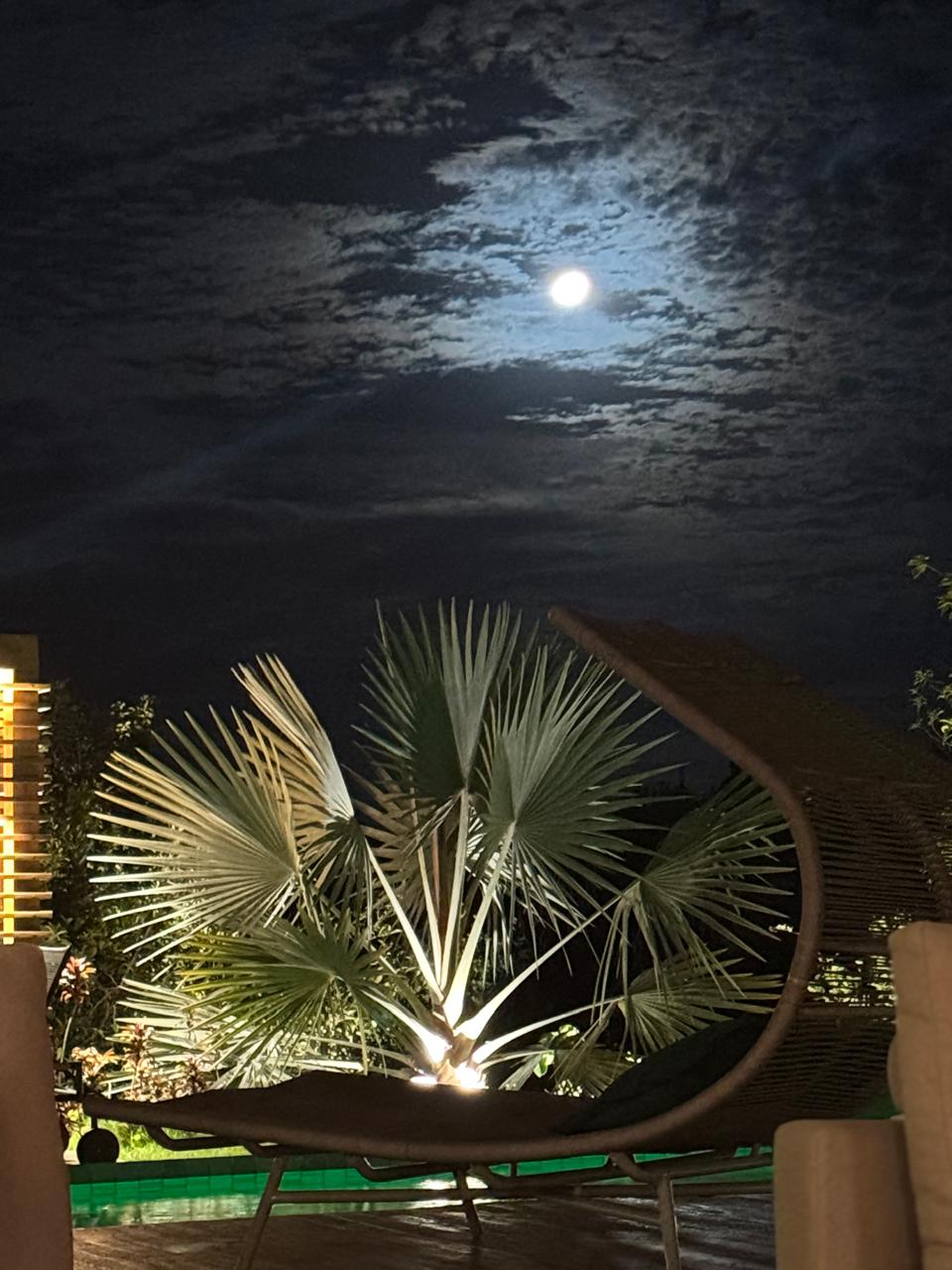 WhatsApp Image 2026-03-05 at 21.56.35 (2)